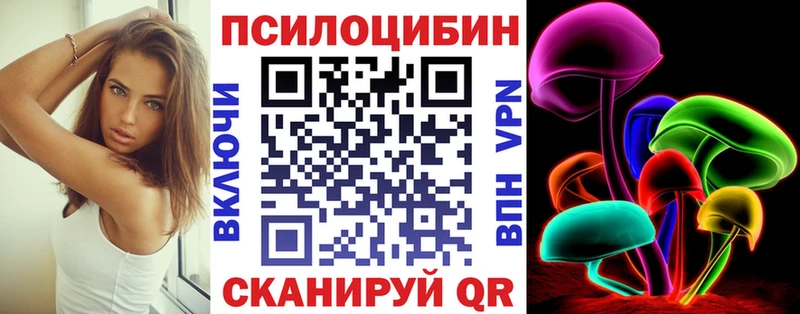 продажа наркотиков  Киселёвск  Псилоцибиновые грибы Psilocybe 